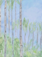 Load image into Gallery viewer, Aspens, 18 x 24