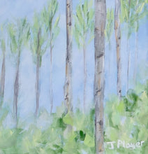 Load image into Gallery viewer, Aspens, 18 x 24