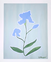 Load image into Gallery viewer, Iris, Giclee Floral Print