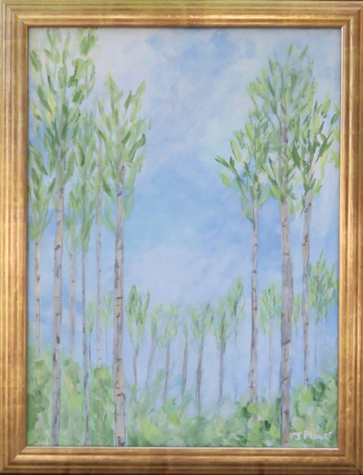 Abstract Birch Tree Landscape Painting in a gold frame. This painting has a blue background with white clouds, gray birch trees, green leaves and green underbrush. signed by the artist J Player on the front.