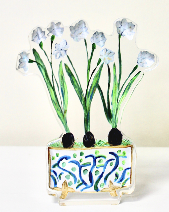 The paperwhite acrylic block is a colorful and fun work of art. This freestanding acrylic block art has three paperwhite bulbs with shades of white, yellow, green and brown. They are in a cute cachepot with a blue and green design gold edges and gold feet. 