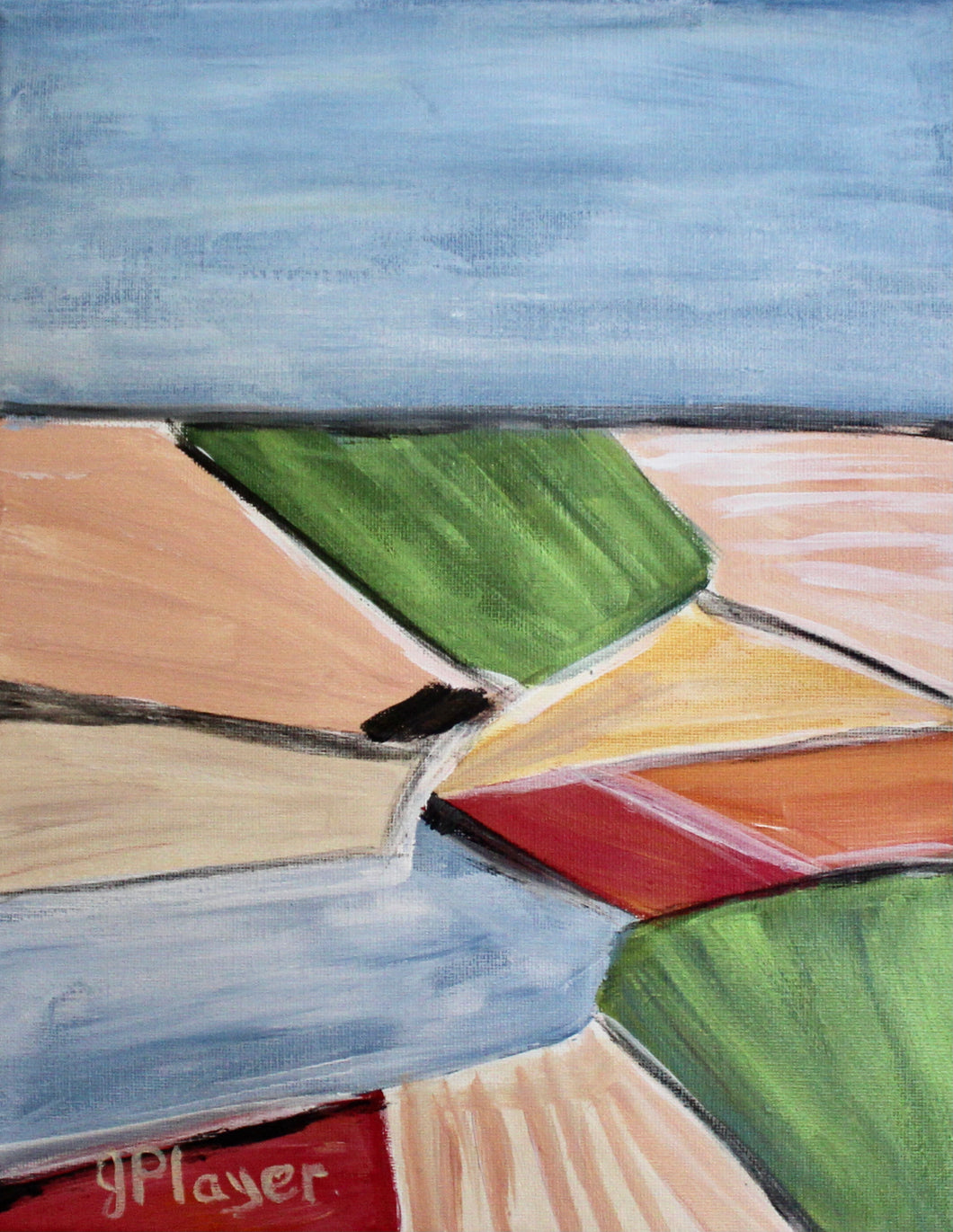 Fields of Color, 8 x 10